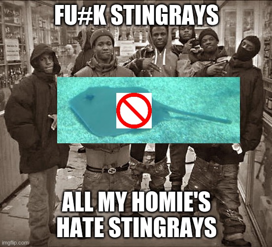 All My Homies Hate | FU#K STINGRAYS; ALL MY HOMIE'S HATE STINGRAYS | image tagged in all my homies hate | made w/ Imgflip meme maker