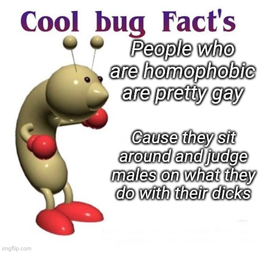 Cool Bug Facts | People who are homophobic are pretty gay; Cause they sit around and judge males on what they do with their dicks | image tagged in cool bug facts | made w/ Imgflip meme maker