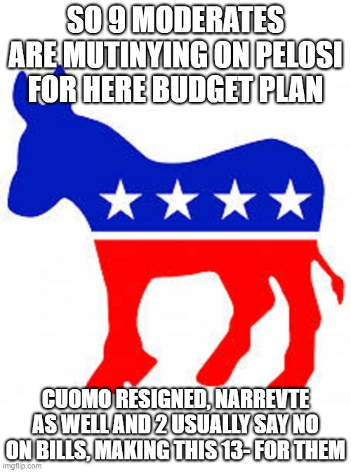 The already unstable majority is now in deep trouble for them | SO 9 MODERATES ARE MUTINYING ON PELOSI FOR HERE BUDGET PLAN; CUOMO RESIGNED, NARREVTE AS WELL AND 2 USUALLY SAY NO ON BILLS, MAKING THIS 13- FOR THEM | image tagged in democrat donkey,numbers | made w/ Imgflip meme maker