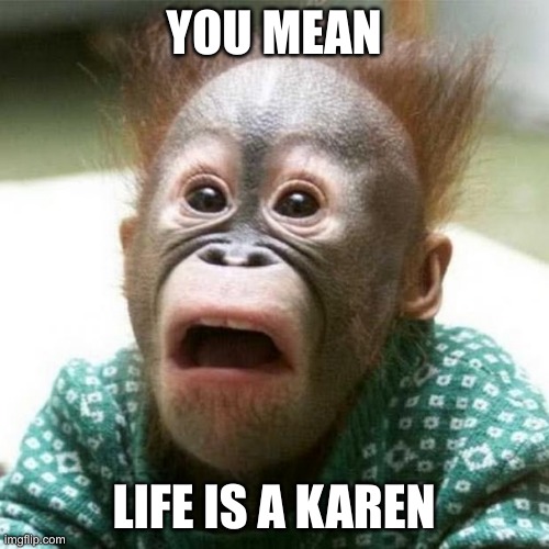 Shocked Monkey | YOU MEAN LIFE IS A KAREN | image tagged in shocked monkey | made w/ Imgflip meme maker