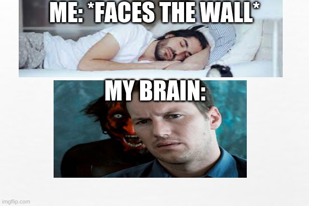 ME: *FACES THE WALL*; MY BRAIN: | image tagged in relatable | made w/ Imgflip meme maker