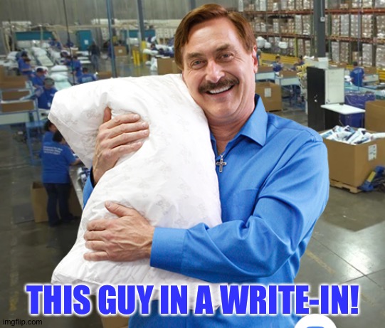 MIke Lindell My Pillow | THIS GUY IN A WRITE-IN! | image tagged in mike lindell my pillow | made w/ Imgflip meme maker
