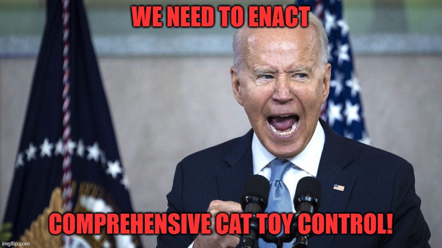 biden pissed | WE NEED TO ENACT COMPREHENSIVE CAT TOY CONTROL! | image tagged in biden pissed | made w/ Imgflip meme maker