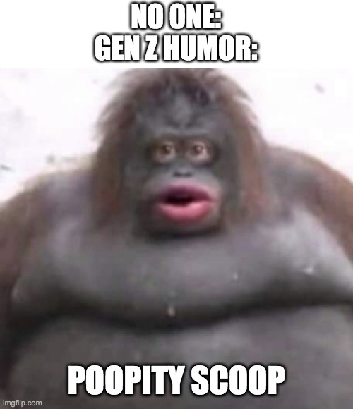 poopity scoop | NO ONE:
GEN Z HUMOR:; POOPITY SCOOP | image tagged in le monke | made w/ Imgflip meme maker