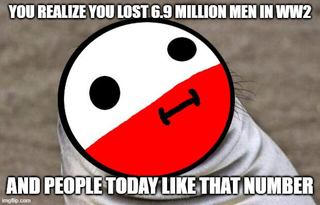 I don't see why people like stuff like this | YOU REALIZE YOU LOST 6.9 MILLION MEN IN WW2; AND PEOPLE TODAY LIKE THAT NUMBER | image tagged in awkward moment polandball | made w/ Imgflip meme maker