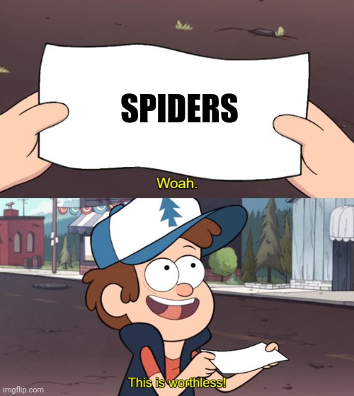 Gotta hate spiders | SPIDERS | image tagged in whoa this is worthless | made w/ Imgflip meme maker