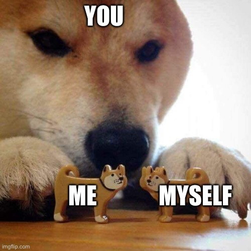 dog now kiss  | YOU ME MYSELF | image tagged in dog now kiss | made w/ Imgflip meme maker