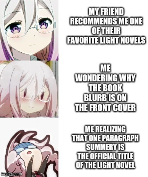 Why are light novel titles so long? | image tagged in anime meme,light novel titles | made w/ Imgflip meme maker