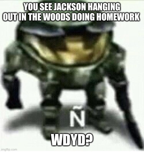 It’s meant for female ocs and it’s gonna be R O M A N T I C | YOU SEE JACKSON HANGING OUT IN THE WOODS DOING HOMEWORK; WDYD? | image tagged in shitpost status | made w/ Imgflip meme maker