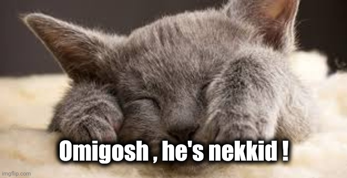 Hide and Seek Cat | Omigosh , he's nekkid ! | image tagged in hide and seek cat | made w/ Imgflip meme maker