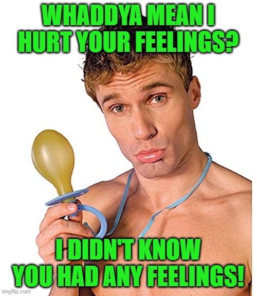 Pacifier Man | WHADDYA MEAN I HURT YOUR FEELINGS? I DIDN'T KNOW YOU HAD ANY FEELINGS! | image tagged in pacifier man | made w/ Imgflip meme maker