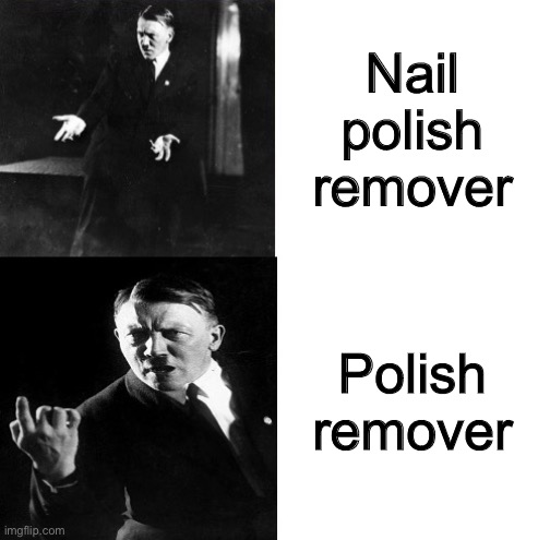 Poland is dead | Nail polish remover; Polish remover | image tagged in hitler drake,funny,memes | made w/ Imgflip meme maker