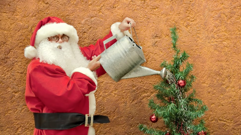 Santa watering tree Blank Meme Template