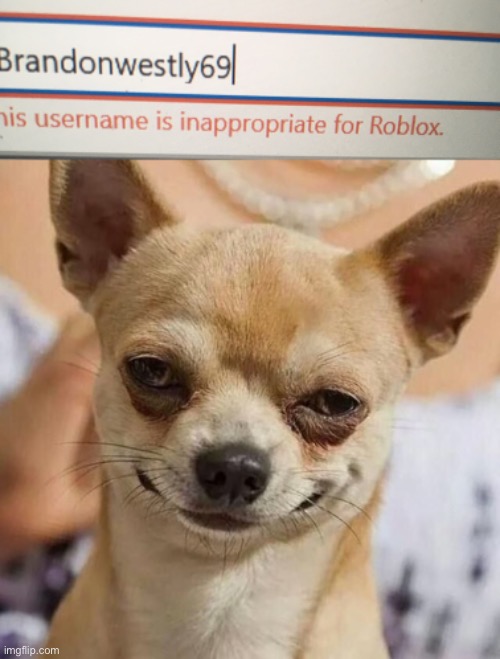 O-O sus | image tagged in smirking dog | made w/ Imgflip meme maker