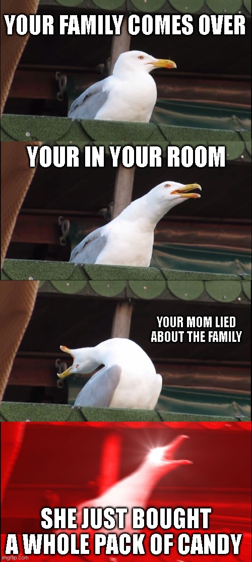 Inhaling Seagull | YOUR FAMILY COMES OVER; YOUR IN YOUR ROOM; YOUR MOM LIED ABOUT THE FAMILY; SHE JUST BOUGHT A WHOLE PACK OF CANDY | image tagged in memes,inhaling seagull | made w/ Imgflip meme maker