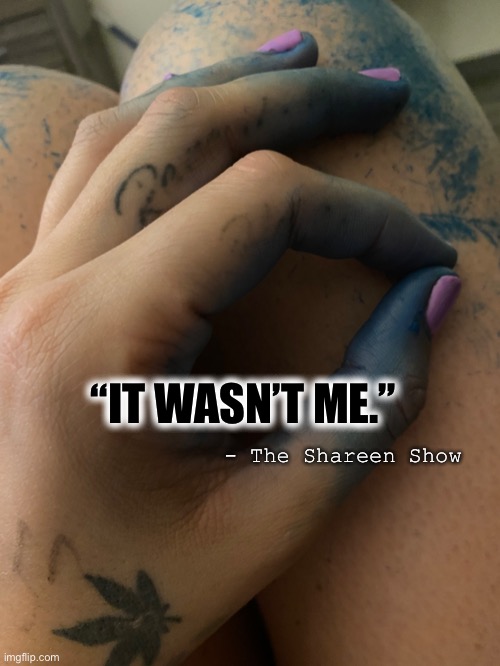 Colors | “IT WASN’T ME.”; - The Shareen Show | image tagged in mental health,blm,justice,abuse,true story,books | made w/ Imgflip meme maker