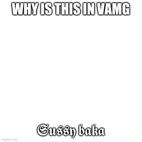 ????? ???? | WHY IS THIS IN VAMG; 𝕾𝖚𝖘𝖘𝖞 𝖇𝖆𝖐𝖆 | image tagged in memes,blank transparent square | made w/ Imgflip meme maker