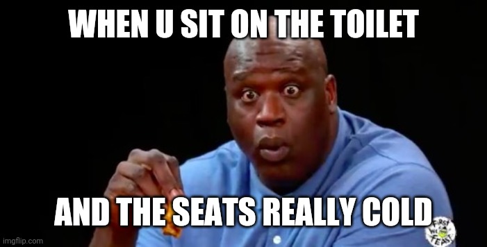 surprised shaq | WHEN U SIT ON THE TOILET; AND THE SEATS REALLY COLD | image tagged in surprised shaq | made w/ Imgflip meme maker