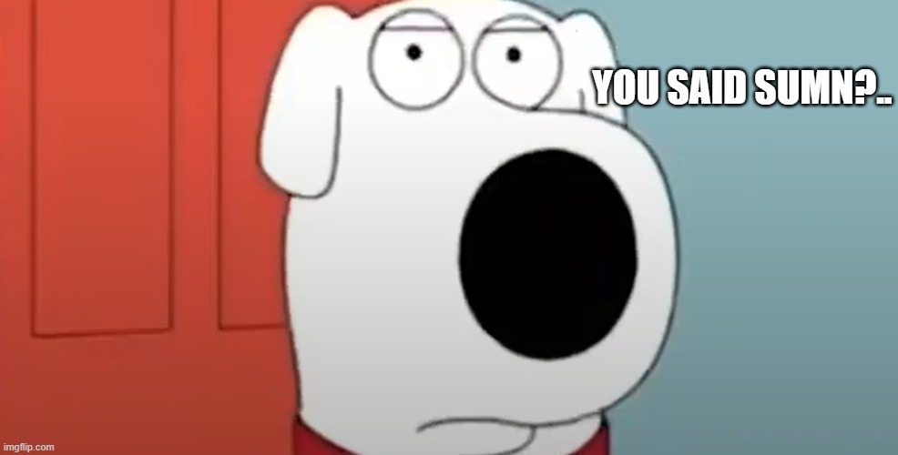 brian asking | YOU SAID SUMN?.. | image tagged in family guy brian | made w/ Imgflip meme maker