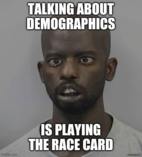 Retard | TALKING ABOUT DEMOGRAPHICS IS PLAYING THE RACE CARD | image tagged in retard | made w/ Imgflip meme maker