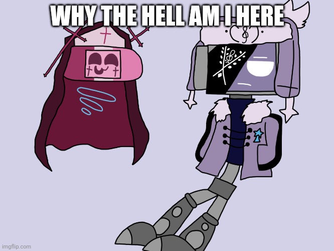 Sarvody and Ruvdroid | WHY THE HELL AM I HERE | image tagged in sarvody and ruvdroid | made w/ Imgflip meme maker
