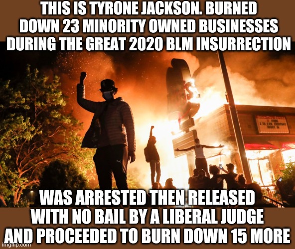 BLM Riots | THIS IS TYRONE JACKSON. BURNED DOWN 23 MINORITY OWNED BUSINESSES DURING THE GREAT 2020 BLM INSURRECTION WAS ARRESTED THEN RELEASED WITH NO B | image tagged in blm riots | made w/ Imgflip meme maker