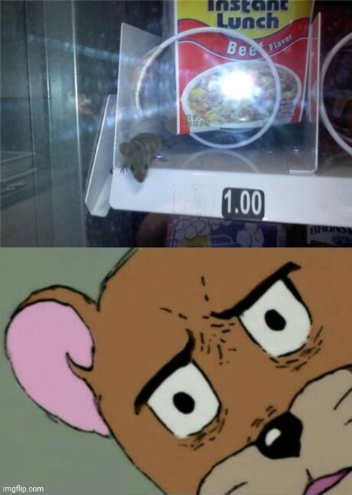 Mouse inside of vending machine | image tagged in unsettled jerry,mouse,funny,memes,you had one job,you had one job just the one | made w/ Imgflip meme maker