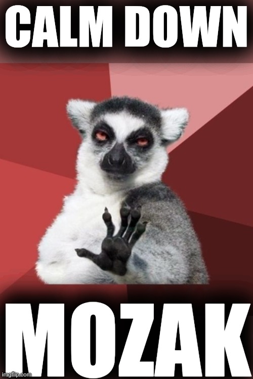 Chill Out Lemur Meme | CALM DOWN MOZAK | image tagged in memes,chill out lemur | made w/ Imgflip meme maker