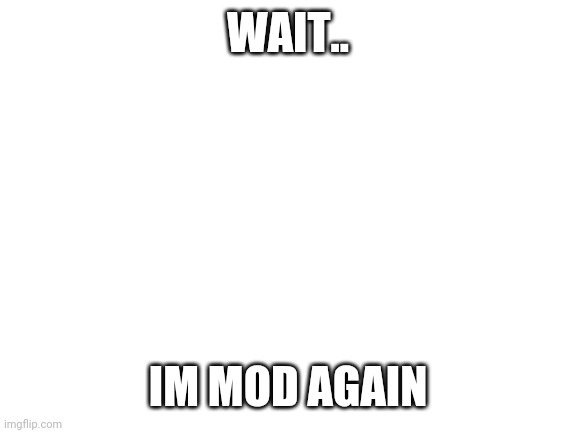 Blank White Template | WAIT.. IM MOD AGAIN | image tagged in blank white template | made w/ Imgflip meme maker