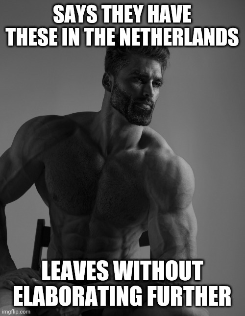 Giga Chad | SAYS THEY HAVE THESE IN THE NETHERLANDS; LEAVES WITHOUT ELABORATING FURTHER | image tagged in giga chad | made w/ Imgflip meme maker