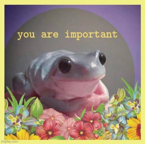 For those in need of something wholesome :) | image tagged in wholesome,frog | made w/ Imgflip meme maker