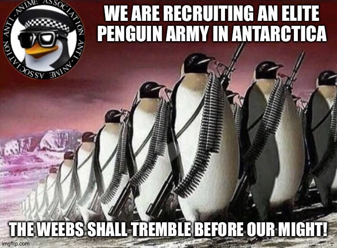 The AAA Antarctic army shall give us much-needed manpower for killing more weebs. | WE ARE RECRUITING AN ELITE  PENGUIN ARMY IN ANTARCTICA; THE WEEBS SHALL TREMBLE BEFORE OUR MIGHT! | image tagged in penguin | made w/ Imgflip meme maker