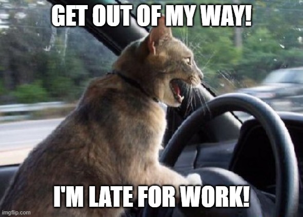 cat driving car | GET OUT OF MY WAY! I'M LATE FOR WORK! | image tagged in cat driving car | made w/ Imgflip meme maker