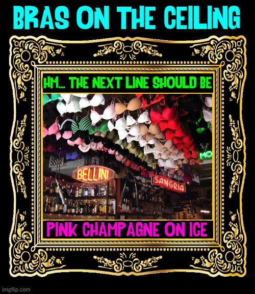 Bacaro Jazz Nightclub: Venice, Italy | BRAS ON THE CEILING; HM... THE NEXT LINE SHOULD BE; PINK CHAMPAGNE ON ICE | image tagged in vince vance,bras,night club,memes,hotel california,ceiling | made w/ Imgflip meme maker