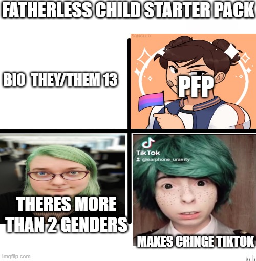 fatherless | FATHERLESS CHILD STARTER PACK; BIO  THEY/THEM 13; PFP; THERES MORE THAN 2 GENDERS; MAKES CRINGE TIKTOK | image tagged in memes,blank starter pack | made w/ Imgflip meme maker