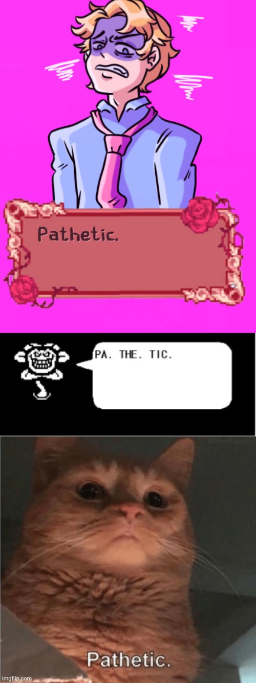 The Pathetic Time Trio | image tagged in pathetic,pa the tic,pathetic cat | made w/ Imgflip meme maker