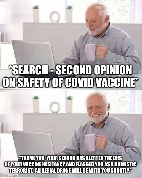 Government always knows what’s best. | *SEARCH - SECOND OPINION ON SAFETY OF COVID VACCINE*; “THANK YOU. YOUR SEARCH HAS ALERTED THE DHS OF YOUR VACCINE HESITANCY AND FLAGGED YOU AS A DOMESTIC TERRORIST.  AN AERIAL DRONE WILL BE WITH YOU SHORTLY.” | image tagged in memes,hide the pain harold,covid-19,covid vaccine,free speech | made w/ Imgflip meme maker