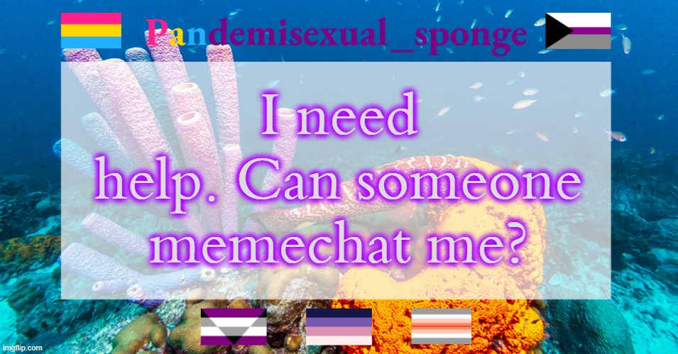 This is serious. It involves me and my relationship to the LGBTQ+ community | I need help. Can someone memechat me? | image tagged in pandemisexual_sponge temp,demisexual_sponge | made w/ Imgflip meme maker