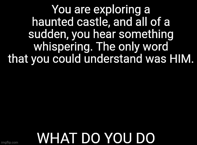 Good ol' horror rp's....My specialty. | You are exploring a haunted castle, and all of a sudden, you hear something whispering. The only word that you could understand was HIM. WHAT DO YOU DO | image tagged in blank black | made w/ Imgflip meme maker