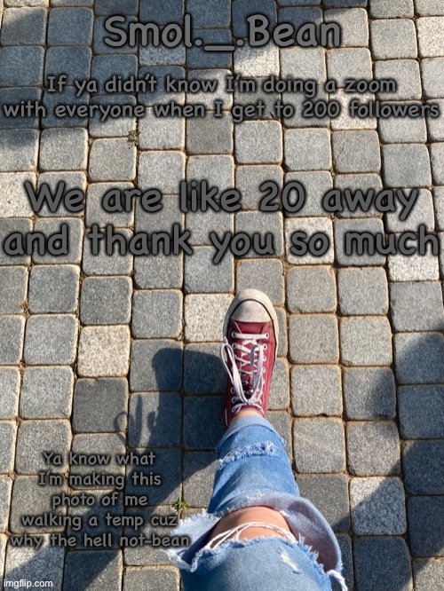If ya didn’t know I’m doing a zoom with everyone when I get to 200 followers; We are like 20 away and thank you so much | image tagged in beans foot temp | made w/ Imgflip meme maker