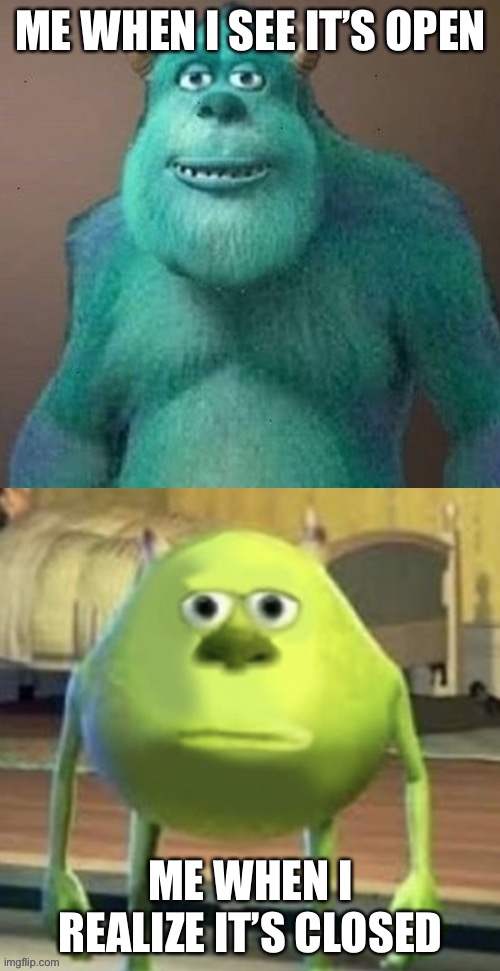 Sully wazowski uh oh | ME WHEN I SEE IT’S OPEN ME WHEN I REALIZE IT’S CLOSED | image tagged in sully wazowski uh oh | made w/ Imgflip meme maker