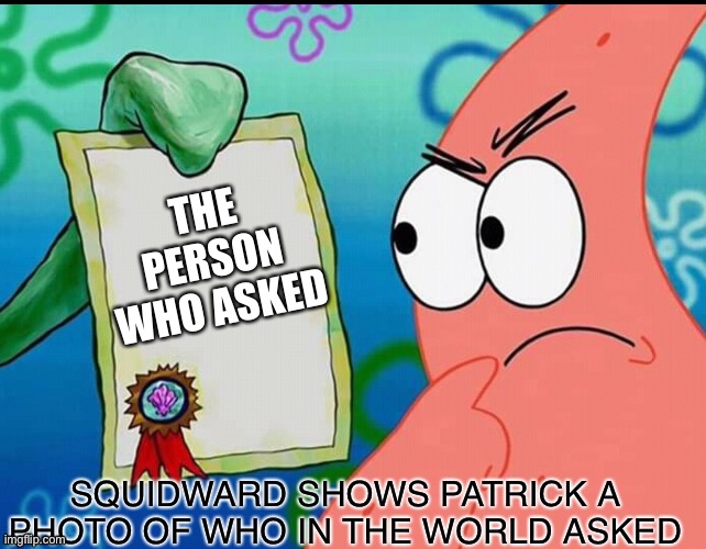 Squidward shows Patrick a photo of who in the world asked | THE PERSON WHO ASKED | image tagged in squidward shows patrick a photo of who in the world asked | made w/ Imgflip meme maker