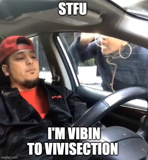049's voice tho frkkvkfeddlkwepledcvfcdc | STFU; I'M VIBIN TO VIVISECTION | image tagged in stfu im listening to | made w/ Imgflip meme maker