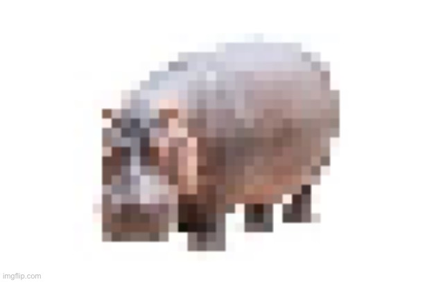 Hpoptams | made w/ Imgflip meme maker