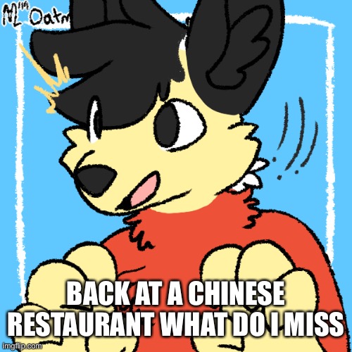 Fursona Winston | BACK AT A CHINESE RESTAURANT WHAT DO I MISS | image tagged in fursona winston | made w/ Imgflip meme maker