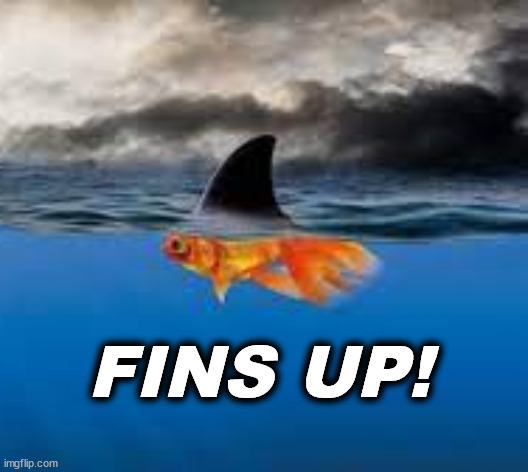 fins | FINS UP! | image tagged in fins | made w/ Imgflip meme maker