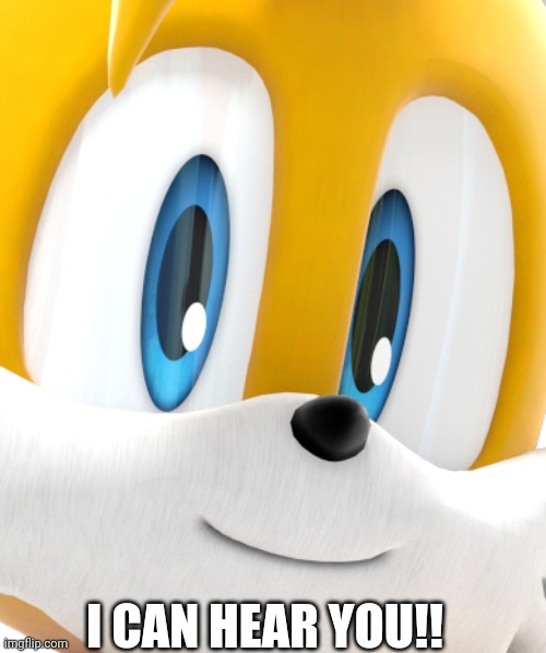i can hear you!!! | I CAN HEAR YOU!! | image tagged in the fox is watching you,tails,tails the fox | made w/ Imgflip meme maker
