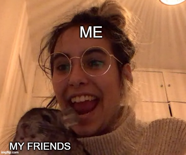 Bunny and girl | ME; MY FRIENDS | image tagged in bunny and girl | made w/ Imgflip meme maker