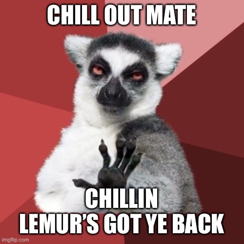 Chill Out Lemur Meme | CHILL OUT MATE CHILLIN LEMUR’S GOT YE BACK | image tagged in memes,chill out lemur | made w/ Imgflip meme maker