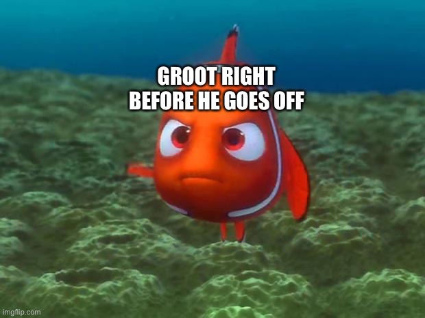 Groot Before He Goes Off Nemo From Finding Nemo | GROOT RIGHT BEFORE HE GOES OFF | image tagged in nemo,violent,groot,violence,violence now shown,finding nemo | made w/ Imgflip meme maker